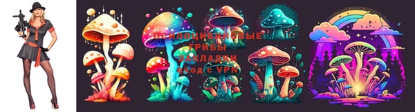 ALPHA PVP Снежногорск