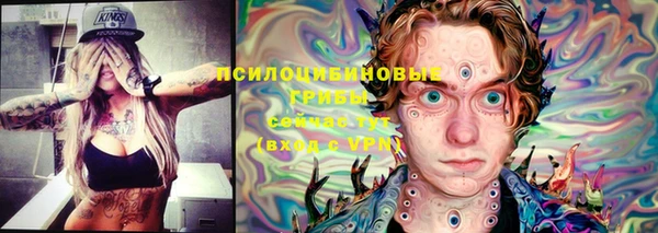 ALPHA PVP Снежногорск