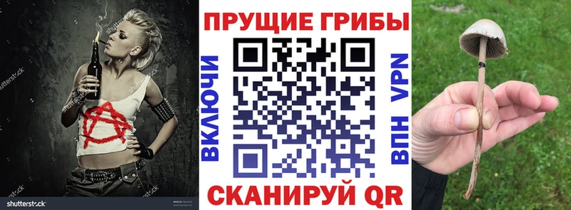 Галлюциногенные грибы GOLDEN TEACHER  Сосногорск 